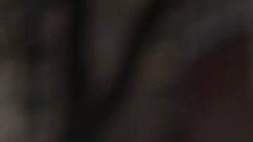 Trabajadores y activistas protestas contra Amazon en este Black Friday 2021.