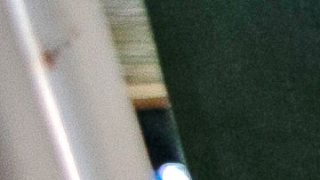 La OMS avala Covaxin, vacuna desarrollada en la India contra el Covid-19