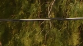 Tres detenidos por crimen en California. Imagen de Archivo.