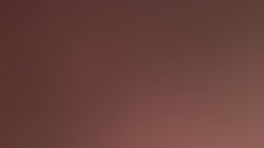 John van 't Schip pasó por las Chivas en 2012.