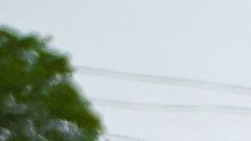 Denuncian al menos un centenar de detenidos en Cuba durante protesta del 15N