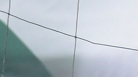 Los aficionados del Tri han vivido una verdadera odisea para adquirir las entradas.