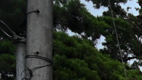 Un laboratorio móvil de detección del covid-19 en Guatemala.