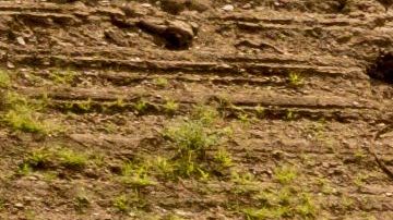 A diferencia del norte de California donde sí han habido lluvias las últimas semanas, el sur se mantiene seco y los embalses en niveles críticos.