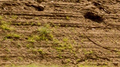 A diferencia del norte de California donde sí han habido lluvias las últimas semanas, el sur se mantiene seco y los embalses en niveles críticos.