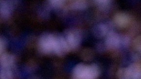 La solicitud del técnico del Chelsea fue la de no usarlo por muchos minutos.
