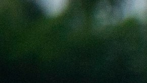 Más de 1,000 migrantes que conformaban caravana se entregan a autoridades mexicanas