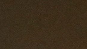 Pedro Castillo, presidente de Perú.