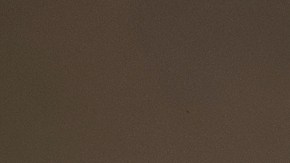 Todavía no se sabe el origen del incendio en el parque.