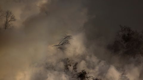 Todavía no se sabe el origen del incendio en el parque.