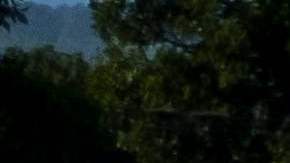 Haití vive una profunda crisis, que ahora se manifiesta con la escasez de combustible.