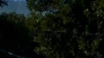 Haití vive una profunda crisis, que ahora se manifiesta con la escasez de combustible.