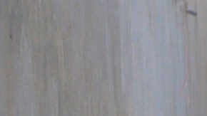 Atentado en escuela de Yemen deja 29 muertos, entre las víctimas hay niños