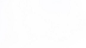 Tyler Matzek en el estadio de los Bravos en la celebración de la Serie Mundial. (foto: Megan Varner/Getty Images)