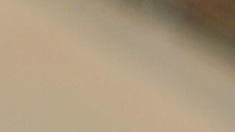 Un proyecto de ley busca prevenir la deportación de inmigrantes veteranos de las Fuerzas Armadas de Estados Unidos.