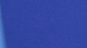 El presidente de Gran Bretaña para la COP26 Alok Sharma clausuró el evento.