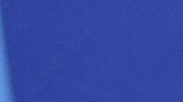 El presidente de Gran Bretaña para la COP26 Alok Sharma clausuró el evento.