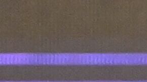 Nayib Bukele, presidente de El Salvador.