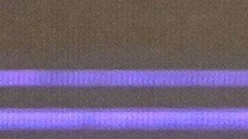 Nayib Bukele, presidente de El Salvador.