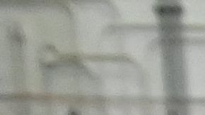 Los Biden cenan con militares y sus familias en un ‘friendsgiving’ en Carolina del Norte