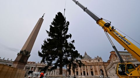 Un abeto de 113 años adorna la Navidad de la Plaza de San Pedro.