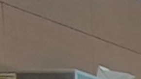 Se intensifican viajes por la temporada de Acción de Gracias.