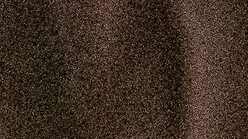 ¿Qué sigue en el caso por la muerte de Ahmaud Arbery?