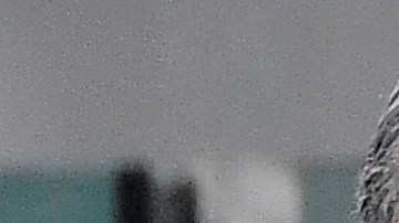 Pavel Nedved (c), director deportivo, y el presidente de la Juventus, Andrea Agnelli (i) están siendo investigados.