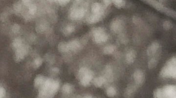 Tiroteo en una escuela en Michigan