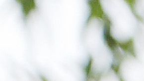 LOS ANGELES, CALIFORNIA - JUNE 23: A mother holds her daughter as Black Lives Matter-Los Angeles supporters protest outside the Unified School District headquarters calling on the board of education to defund school police on June 23, 2020 in Los Angeles, California. The demonstrators want the funds currently spent on campus police to be reallocated to other student-serving priorities. (Photo by Mario Tama/Getty Images)