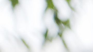 LOS ANGELES, CALIFORNIA - JUNE 23: A mother holds her daughter as Black Lives Matter-Los Angeles supporters protest outside the Unified School District headquarters calling on the board of education to defund school police on June 23, 2020 in Los Angeles, California. The demonstrators want the funds currently spent on campus police to be reallocated to other student-serving priorities. (Photo by Mario Tama/Getty Images)