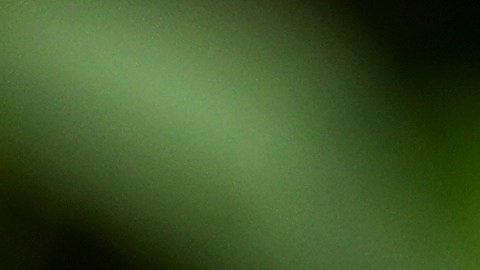 Facebook “rompió” sus propias normas y permitió contenido plagiado o reciclado