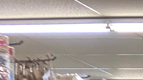 Dollar Tree