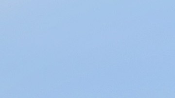 El gobernador DeSantis se postula para ser relecto en 2024.