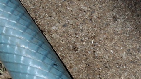 La falta de agua se agrava en varios puntos del mundo, y obliga a buscar nuevas soluciones.