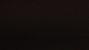 Con música de mariachis, decenas de personas reciben a AMLO en NY