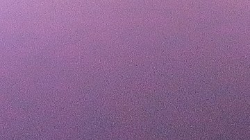 Julio César Chávez Jr.