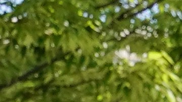 Crédito tributario por hijo: el 15 de noviembre es la fecha límite para solicitar la ayuda-GettyImages-1328725343.jpg