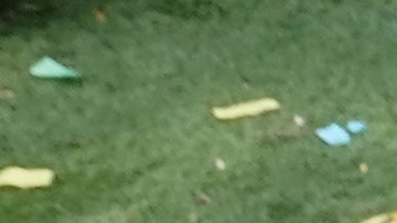 50,000 familias recibirán la mitad del crédito tributario por hijo el próximo 15 de diciembre-GettyImages-1328725345.jpg