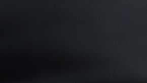 El reverendo Jesse Jackson.