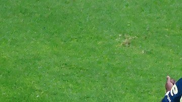 Renato Ibarra podría ser la solución en el ataque del América.