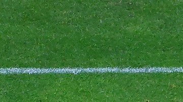 Ibarra se lesionó en la Jornada 6 del Apertura 2021.