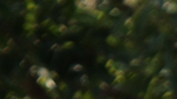 Activistas reclaman una ley que proteja el derecho al voto.