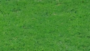 Aquino se resintió de su lesión en el partido con la Selección de Perú frente a Venezuela.