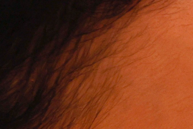 Cuáles son los derechos de los trabajadores de acuerdo a OSHA-GettyImages-1344322789.jpg