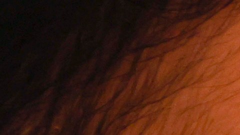 Cuáles son los derechos de los trabajadores de acuerdo a OSHA-GettyImages-1344322789.jpg