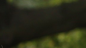 Daleep Singh, el asesor adjunto de seguridad nacional del presidente Joe Biden.