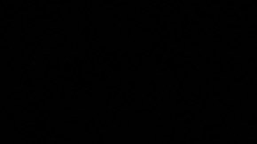 Donald Trump recibió el Dan 9, que es el galardón más alto que se puede alcanzar en el Taekwondo.