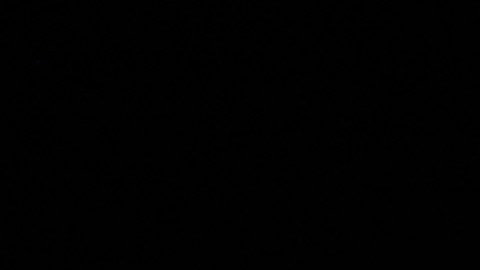 Donald Trump recibió el Dan 9, que es el galardón más alto que se puede alcanzar en el Taekwondo.