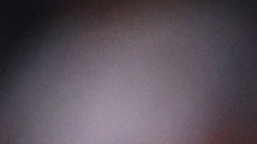 Los Bravos de Atlanta se alzaron con el título de la Serie Mundial luego de 26 años.